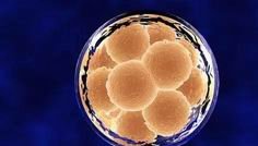 澳门镜湖医院试管婴儿费用解读，这6大项目3万很正常