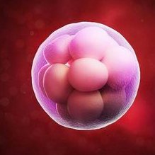 2026年香港试管医院单身女性助孕成功率解析及真实案例分享