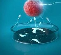 2026年在无锡去金门金厚生医院做试管怎么做？一文了解完整步骤