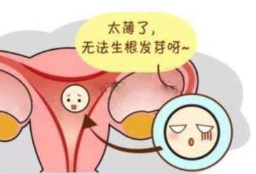 在金华人民医院做试管婴儿多少钱(金华试管婴儿哪个医院好)