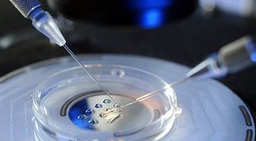 2026年拉拉去贵州做精子试管的成功率高吗？详细步骤介绍